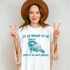 It Is What It Is Fun Theme Unisex Crewneck T-Shirt Sweatshirt Hoodie