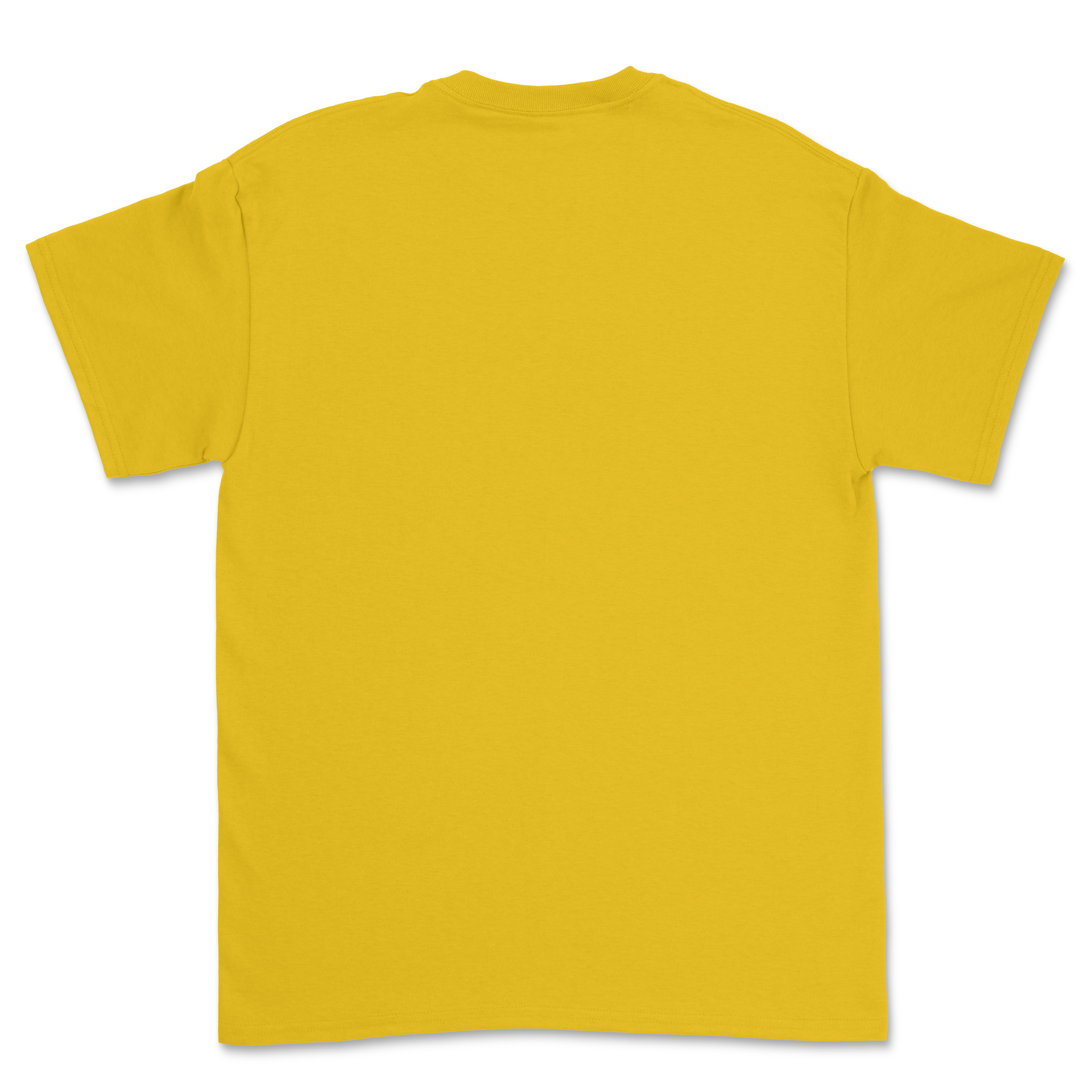100 Gildan HeavyCotton® Custom T-shirts Bundle