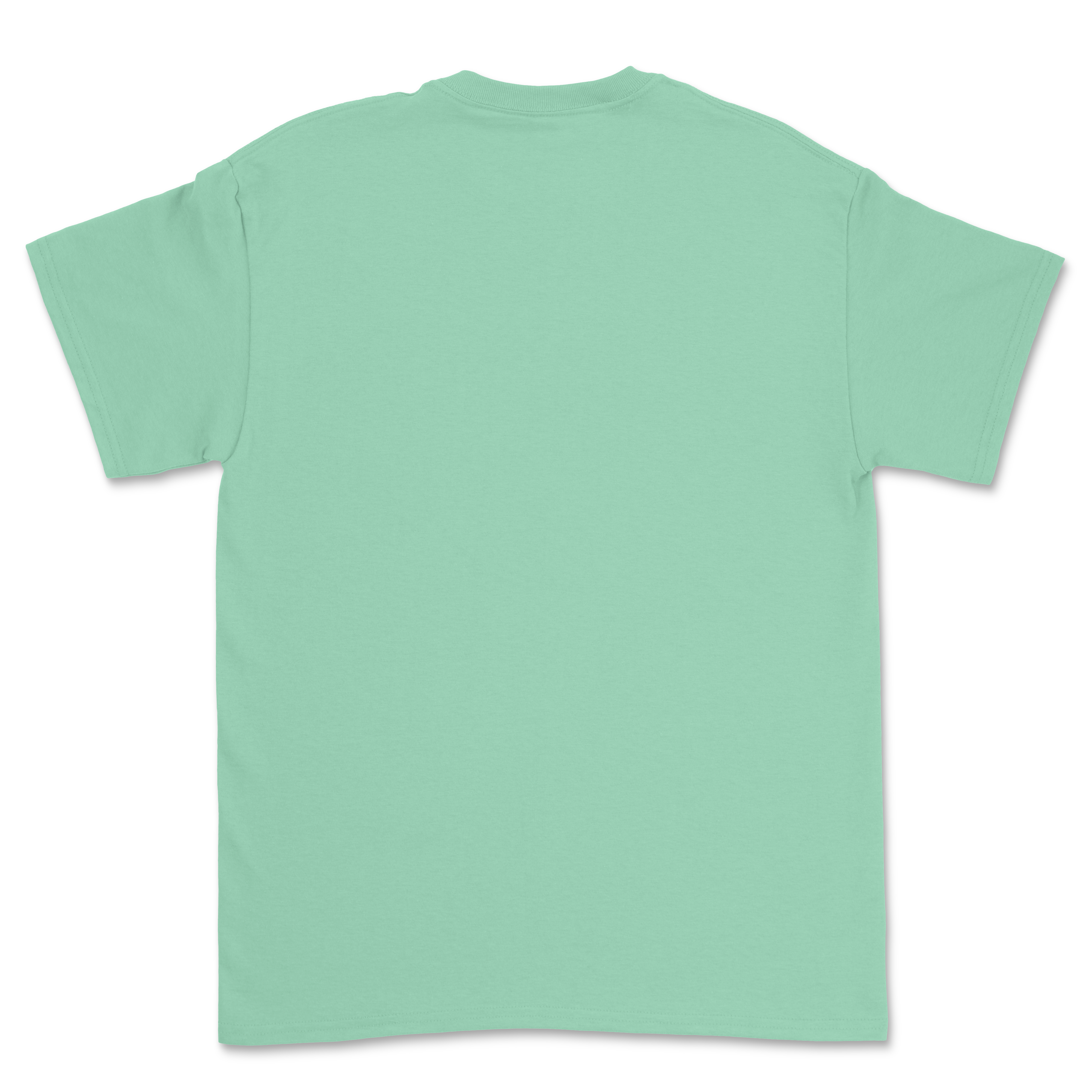 100 Gildan HeavyCotton® Custom T-shirts Bundle
