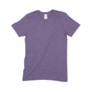 Gildan Heather Softstyle Adult T-Shirt