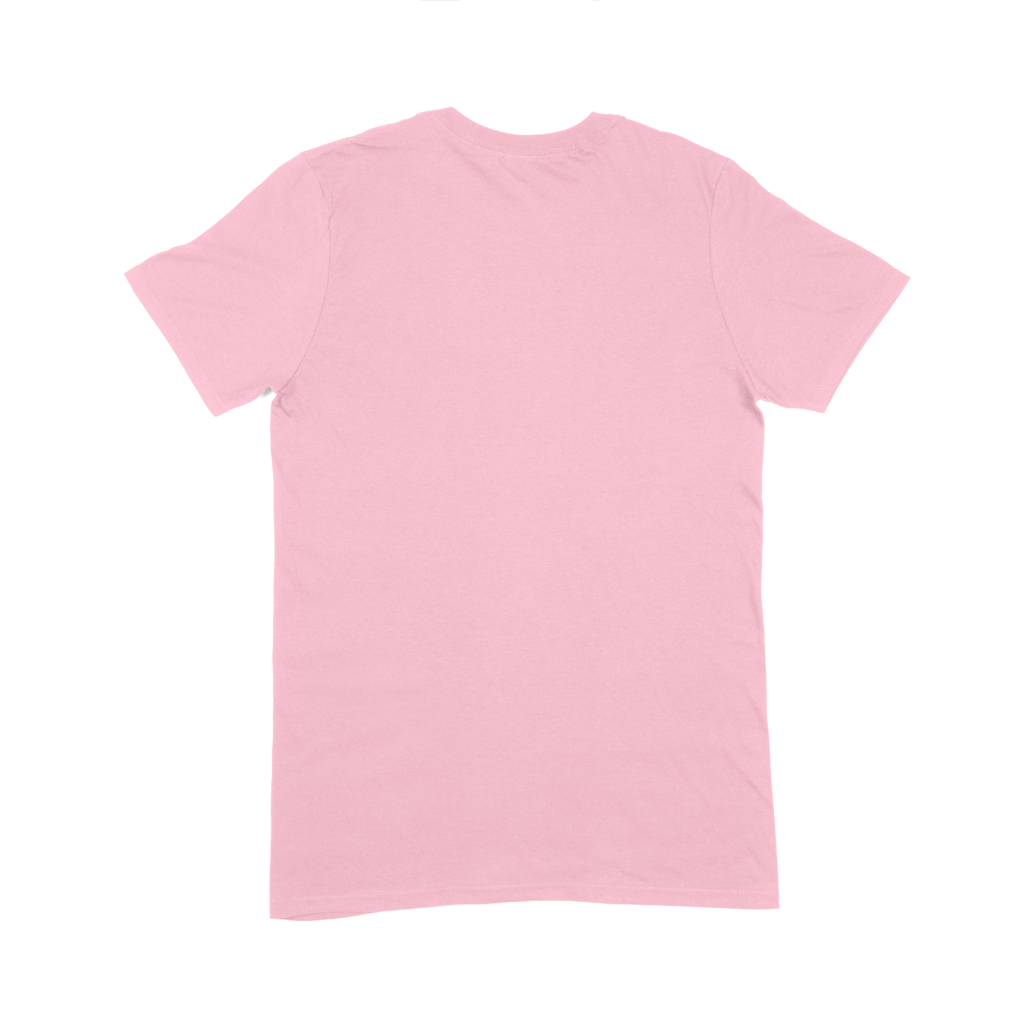 Softstyle Adult T-Shirt (Bulk) (TEST)