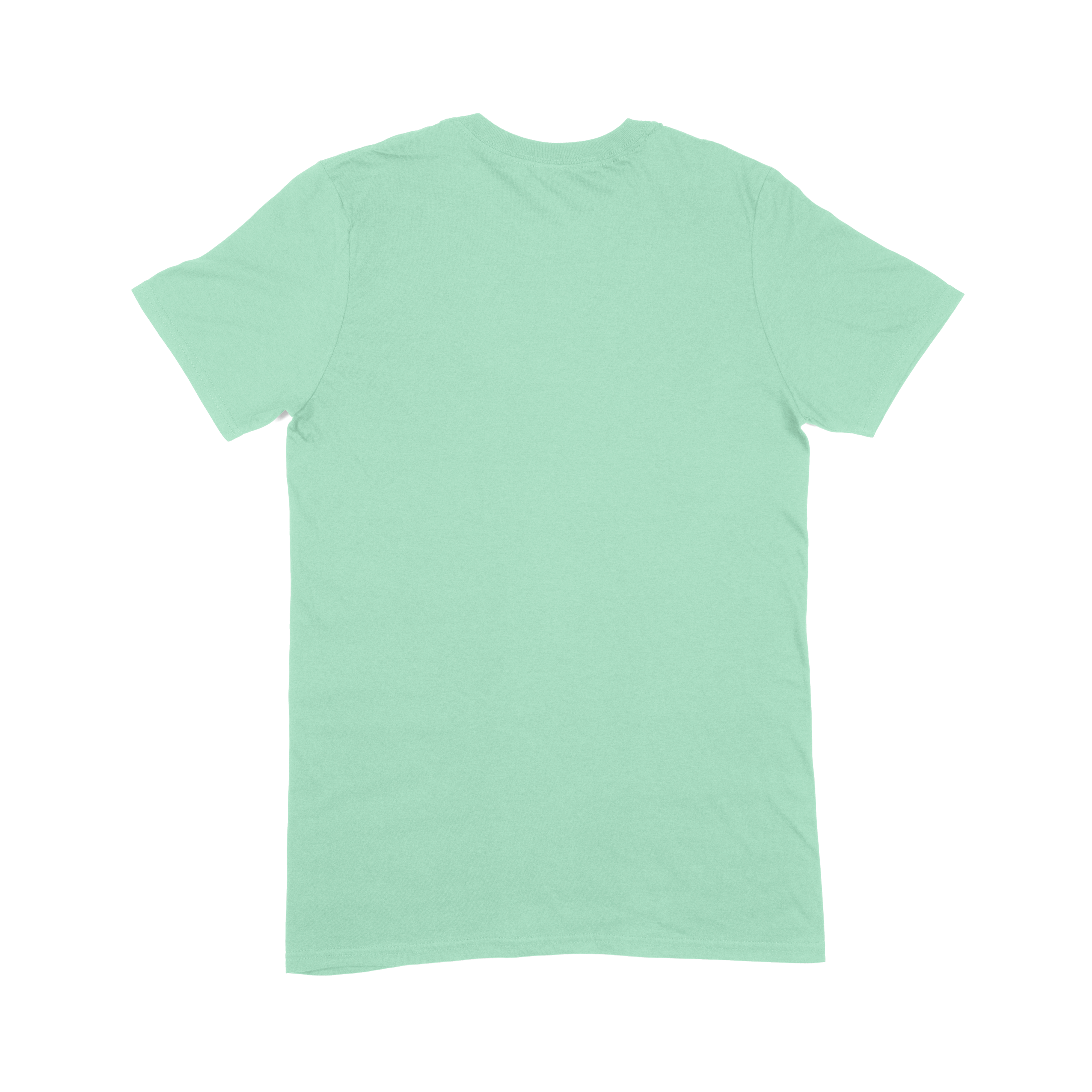 Softstyle Adult T-Shirt (Bulk) (TEST)