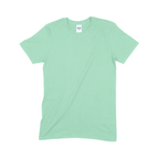 Softstyle Adult T-Shirt (Bulk) (TEST)