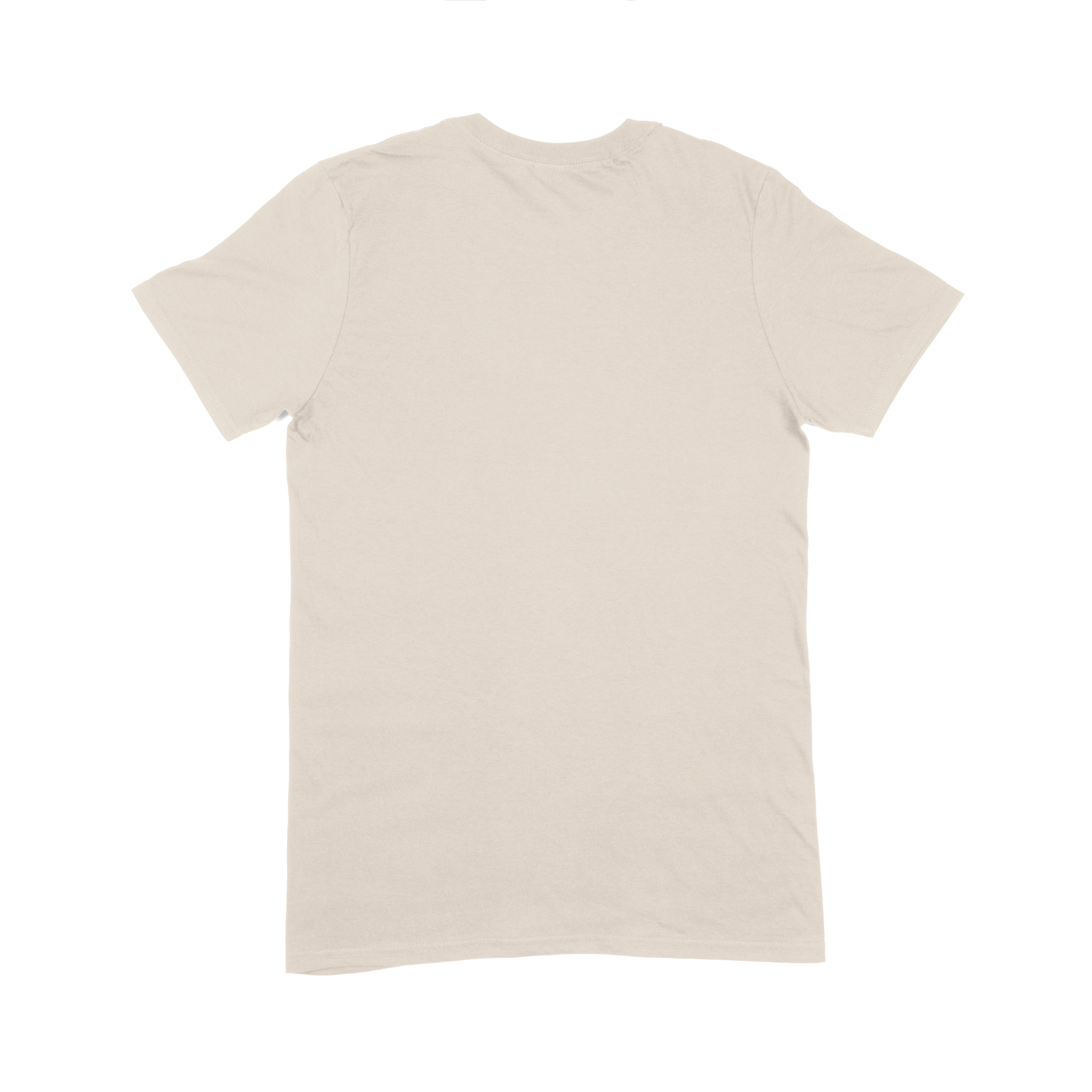 Softstyle Adult T-Shirt (Bulk) (TEST)