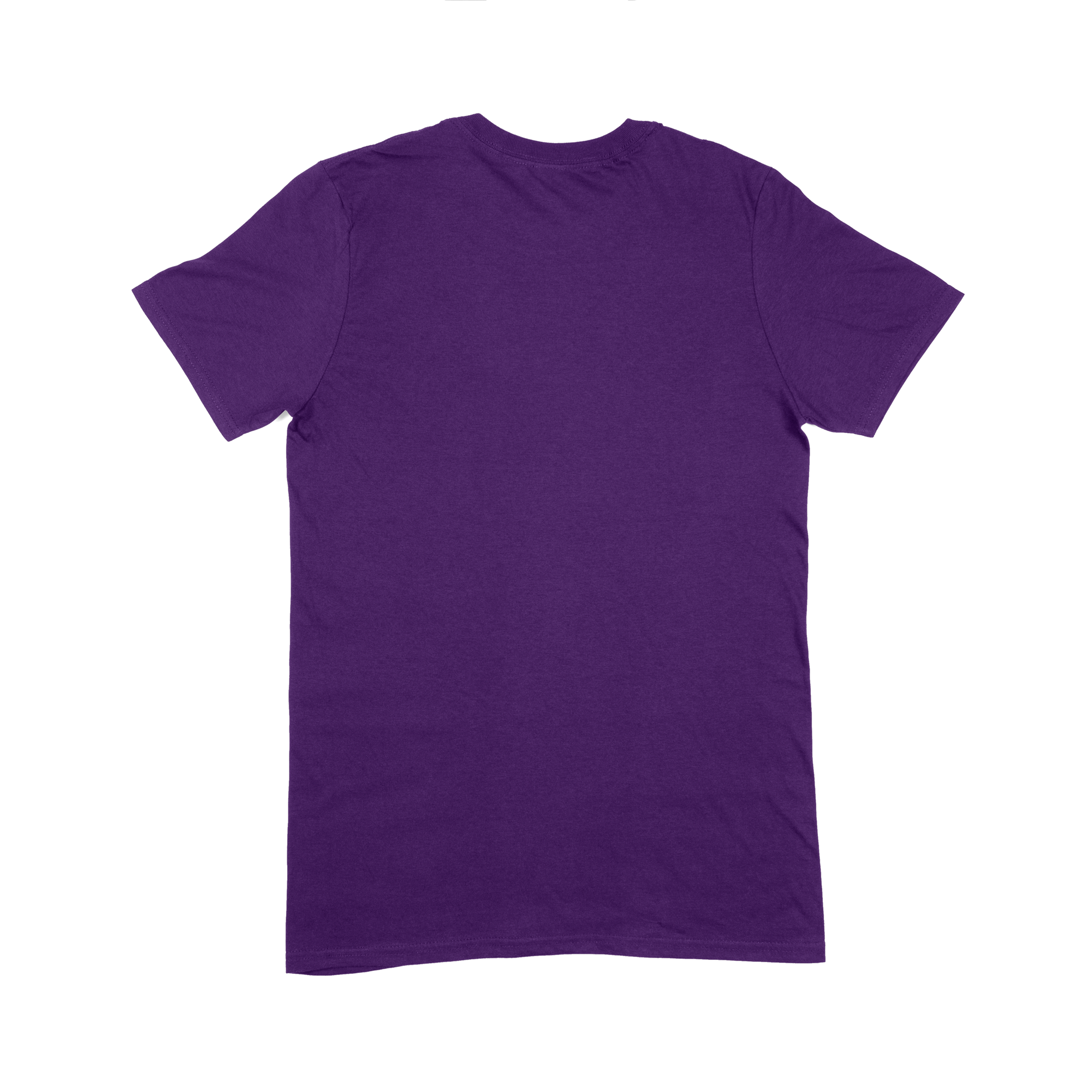 Softstyle Adult T-Shirt (Bulk) (TEST)